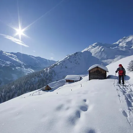 Cozy Near Area In Mayrhofen