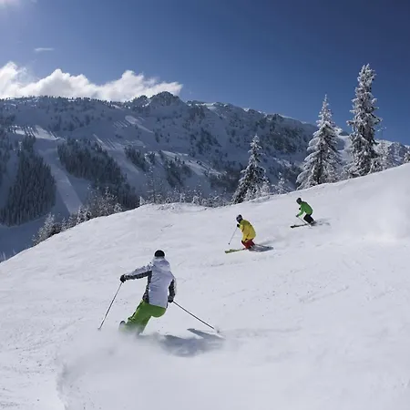 Cozy Near Area In Appartement Mayrhofen